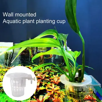 Гидропонная Кацане чаша с добра здравина, Солидна Декоративна Поставка за растения, Аквариум за аквариумни растения